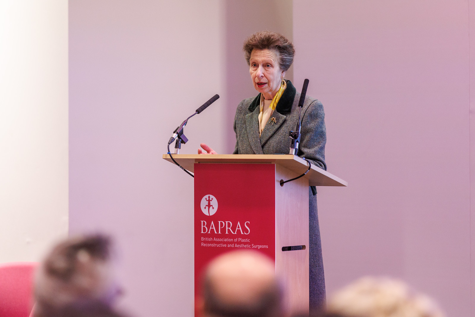 Her Royal Highness The Princess Royal Honours History of Plastic Surgery  ​