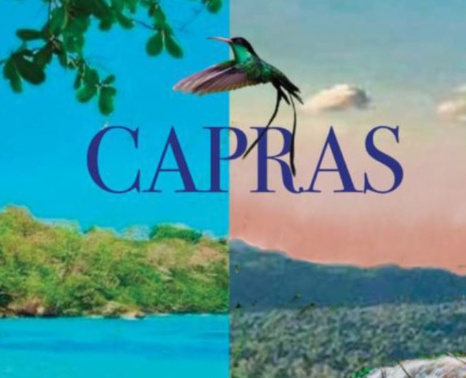Submit your abstract for CAPRAS x BAPRAS 2024