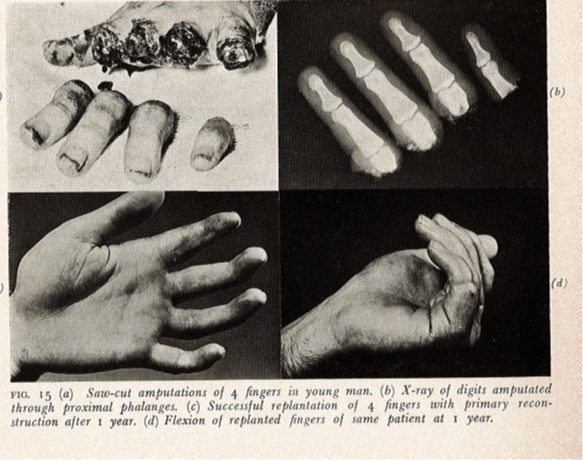 collection microsurgery jan 2023 3