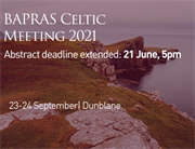 Celtic 2021 Small CTA - with extended deadline